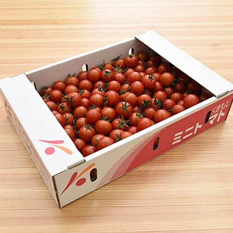 熊本県産 （ 九州 ） ミニトマト 1ケース 3kg 新鮮 生 産地直送