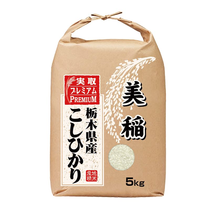 美稲 栃木県産 白米 コシヒカリ 令和4年産