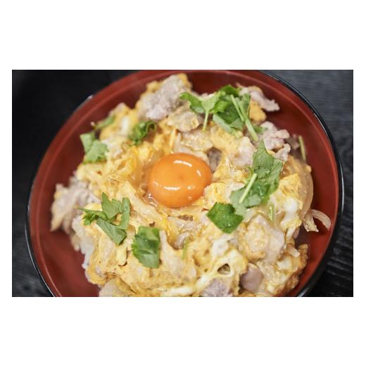 ふるさと納税 千葉県 君津市 亀山温泉ホテル きみつときめき おいしい 親子丼 5食セット