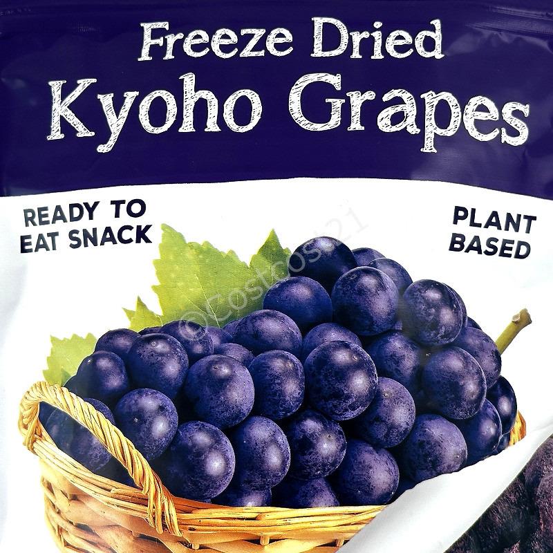 フリーズドライ 巨峰 100g DJA Freeze Dried Kyoho Grapes