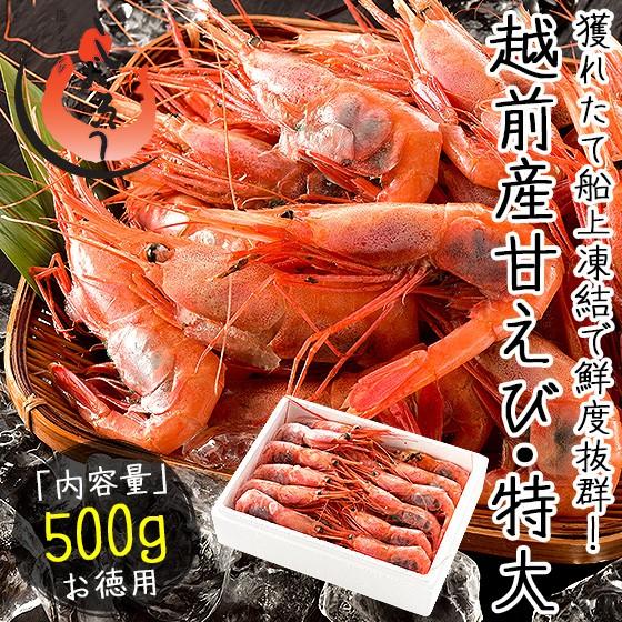 甘エビ 甘えび 子持ち 特大サイズ 500g（約30尾入り）刺身用 越前産 甘えび 海老 えび エビ 贈り物 お祝い プレゼント ギフト 冬グルメ 冬ギフト