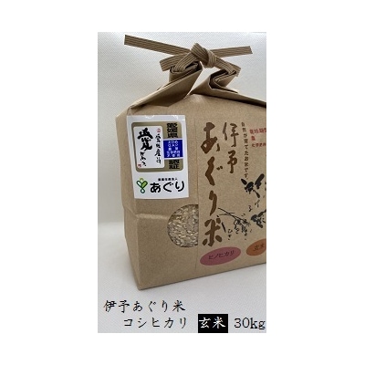 ★令和5年産発送★　伊予あぐり米「コシヒカリ」(玄米30kg)