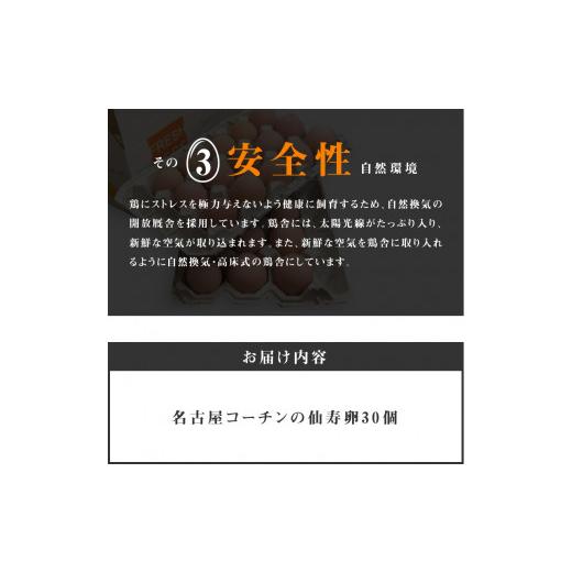 ふるさと納税 愛知県 小牧市 名古屋コーチン卵（30個入り)