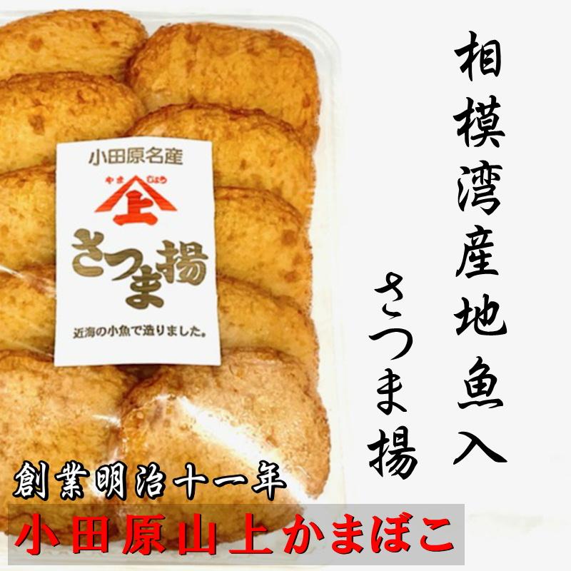 さつま揚げ 2パック(1パック10枚入り) 生で美味しい！相模湾産地魚入さつま揚