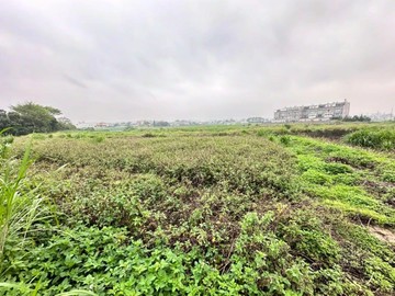 稀有釋出・新豐崁頭段小坪數426農地｜新竹縣新豐鄉崁頭