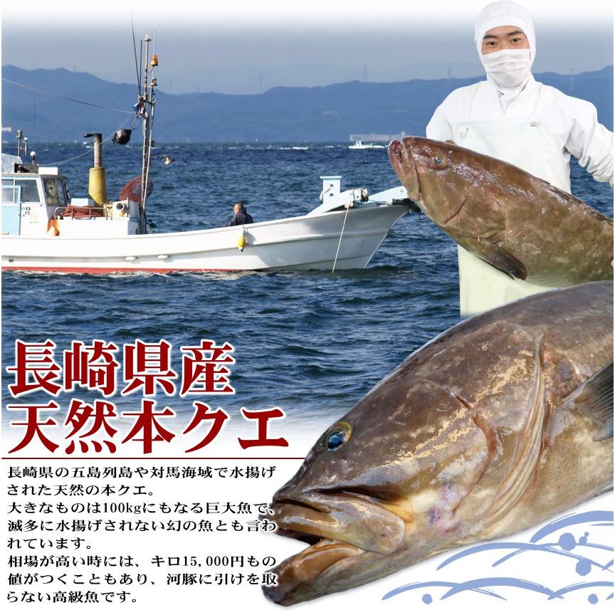 クエ鍋クエしゃぶセット ４人前（長崎県産天然本クエ使用！くえ鍋 しゃぶしゃぶ）お歳暮 ギフト 送料無料 お取り寄せ