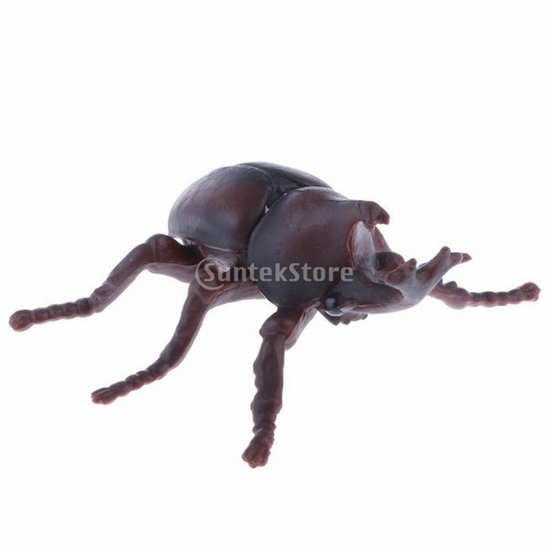 動物モデル 模型 置物 フィギュア 子供 教育玩具 全8色 カブトムシ 通販 Lineポイント最大0 5 Get Lineショッピング