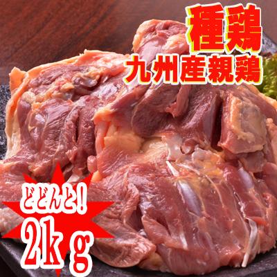 業務用　2kg■南九州産　親鶏もも肉（種鶏）2ｋｇ■　親鳥　業務用