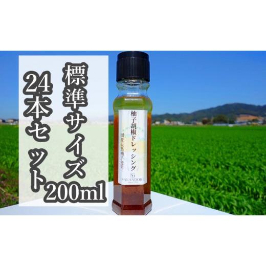 ふるさと納税 福岡県 朝倉市 （標準サイズ200ml）24本セット