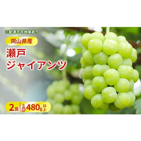 ふるさと納税 ぶどう 2024年 先行予約 瀬戸 ジャイアンツ 2房（1房480g以上）約1kg 化粧箱入り ブドウ 葡萄  岡山県産 国産 フルーツ 果物 ギフ.. 岡山県岡山市