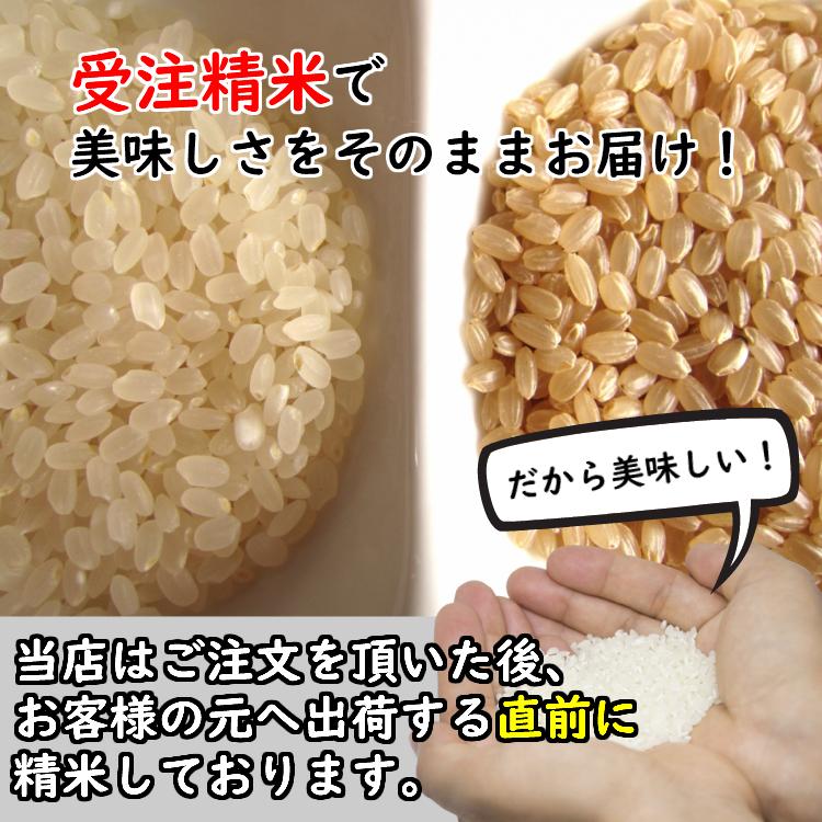 令和5年産 新米 千葉県産コシヒカリ 玄米30kg (10kg×3袋) 精米無料(精米は9kg×3袋)