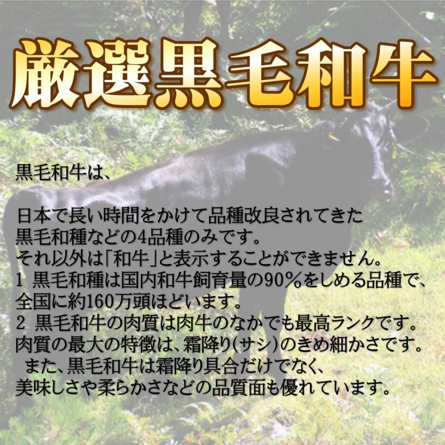 お歳暮 2023 和牛 牛肉 肉 Ａ５等級 黒毛和牛 霜降りサーロイン リブローススライス 500g 送料無料 すき焼き しゃぶしゃぶ