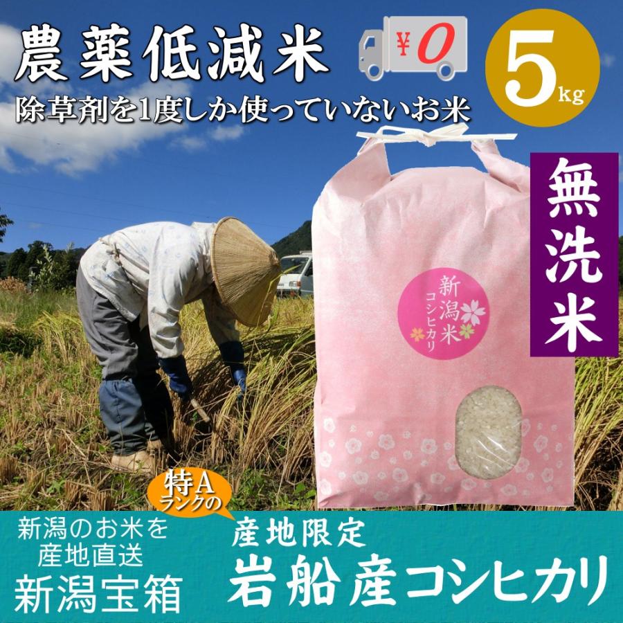 新潟県岩船産 コシヒカリ 無洗米 5kg×1袋 5kg 除草剤を1度しか使っていない米 お米 白米 特A 送料無料