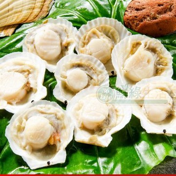 【鮮綠生活】鮮甜生扇貝~(7-10顆/包)共10包