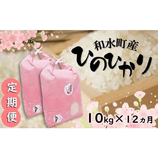 ふるさと納税 熊本県 和水町 熊本県産「ひのひかり」10kg