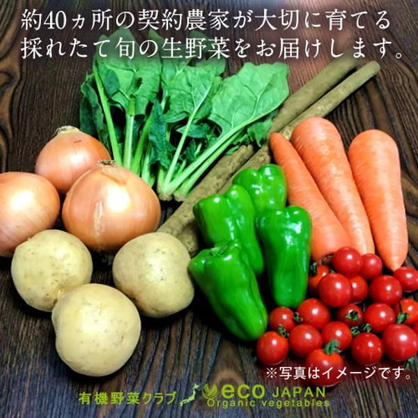 日本の有機野菜セット 旬のおまかせ7種類 全国ご当地生産者のこだわり有機栽培 ベジタブル スムージー 野菜材料 通販 人気［お歳暮 ギフト プレゼント］