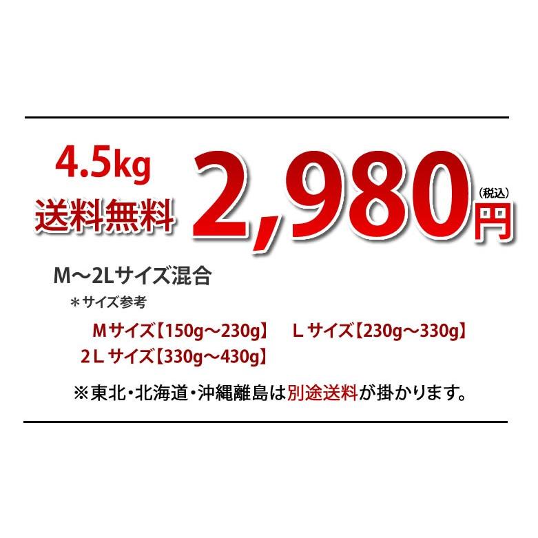 さつまいも 紅はるか 送料無料 4.5kg 熊本県産 べにはるか サツマイモ 紅蜜芋 焼き芋 芋 いも