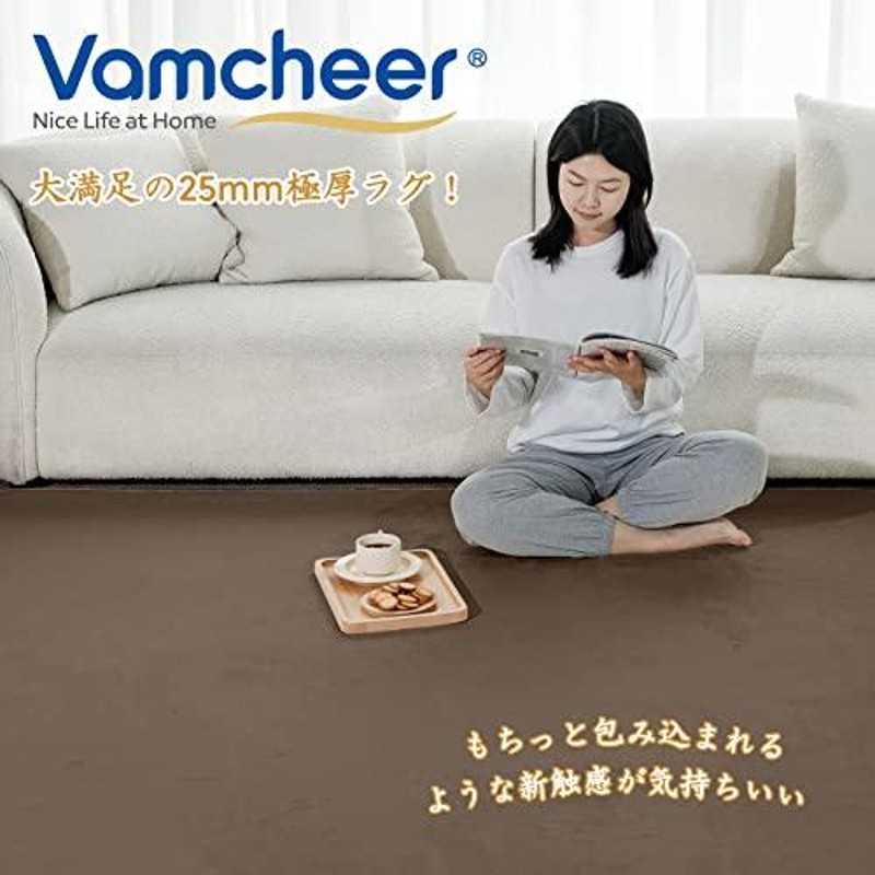 Vamcheer ラグ カーペット 低反発ラグ 極厚25mm ラグマット 135x185cm