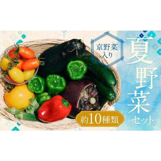 ふるさと納税 京都府 京都市 夏野菜セット（約10種類）