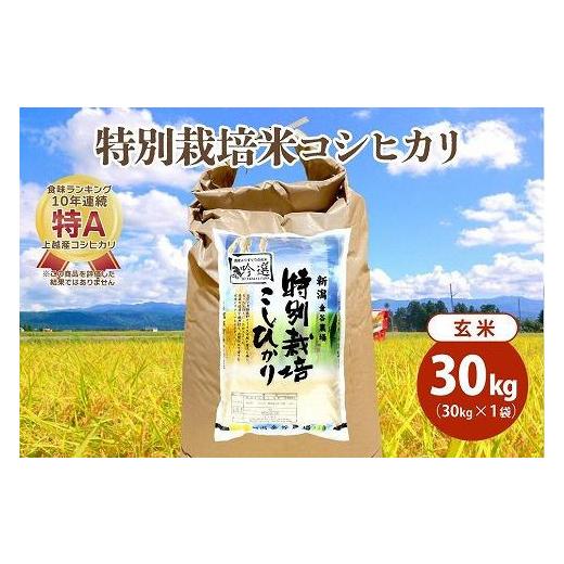 ふるさと納税 新潟県 上越市 令和5年産|新潟上越三和産|特別栽培米コシヒカリ(従来種)30kg(30kg×1)玄米