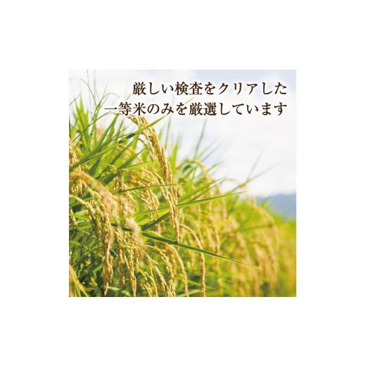 ふるさと納税 福岡県 添田町 令和5年産 福岡県産 米 食べ比べ＜白米＞セット「夢つくし」と「元気つくし」2種類 計20kg入り [a0261] 株式会社 ゼロプラス 【返…