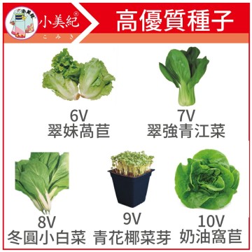 【小美紀】生菜種子(園藝植作)萵苣 青江菜 小白菜 奶油窩苣 花苗 土壤種植 蔬菜 盆栽 種子 介質 花卉 肥料 培養土