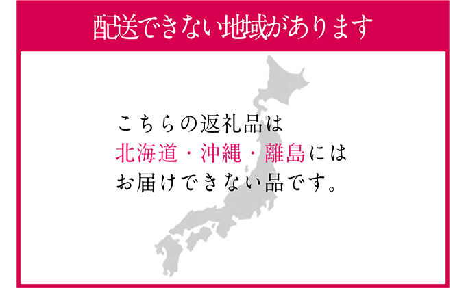 ぶどう 2024年 先行予約 シャイン マスカット 晴王 2房（合計約1.2kg） ブドウ 葡萄  岡山県産 国産 フルーツ 果物 ギフト