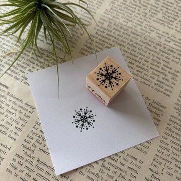 星之雪花 2020 印章