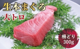 生本マグロ 大トロ 250g（柵どり）