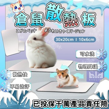 【現貨+降溫】倉鼠散熱板 小寵降溫 水晶冰墊 散熱板 降溫板 消暑 降溫冰床 倉鼠兔子龍貓刺蝟 寵物 蜜袋鼯 老鼠 板