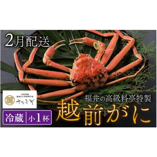 ふるさと納税 福井県 福井市 ＜2月発送分＞蟹好きにおすすめ！老舗カニ専門店の「越前ずわいがに」(500g〜700g)【 越前がに ズワイガニ ずわいが…