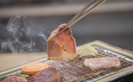 和豚もちぶた 精肉2種各500g詰め合わせ 焼き肉のたれ付セット