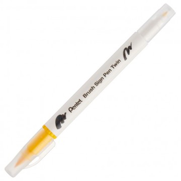 【 Pentel 飛龍 】雙頭柔繪筆 10支/盒 SESW30C   -  多款可選