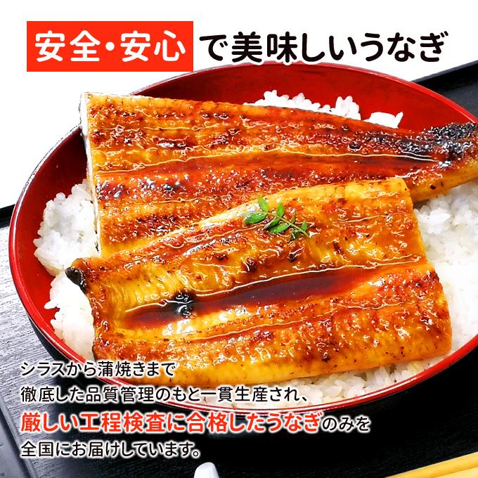 鹿児島産 新 超特大 国産 うなぎ蒲焼き 約250g×3尾 送料無料 海鮮 プレゼント グルメ ギフト