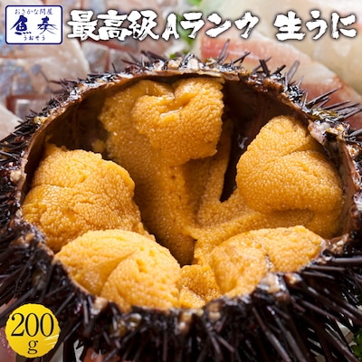 冷凍 生うに 無添加 200g(100g 2パック) AAグレード チリ産 うに丼約4杯分