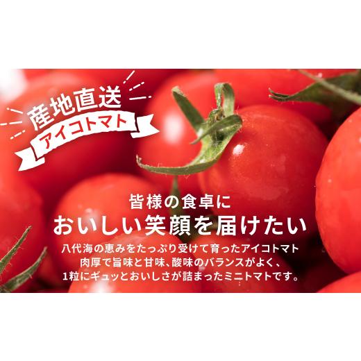 ふるさと納税 熊本県 八代市 産地直送 八代産 アイコトマト 1kg ミニトマト