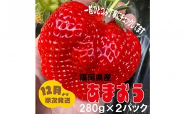 あまおう グランデサイズ以上 約560g（約280g×2パック） 苺 イチゴ いちご フルーツ 果物 ふるさと納税くだもの ブランド くだもの 福岡県産