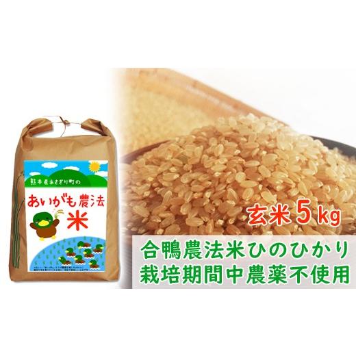 ふるさと納税 熊本県 あさぎり町 令和4年産 熊本県あさぎり町産 合鴨農法米ヒノヒカリ 玄米 5kg