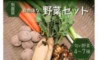 ＜京都産＞自然体な野菜セット