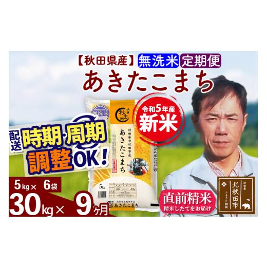 ふるさと納税 秋田県 北秋田市 《定期便9ヶ月》＜新米＞秋田県産 あきたこまち 30kg(5kg小分け袋) 令和5年産 お届け時期選べる 隔月お届けOK お米 …