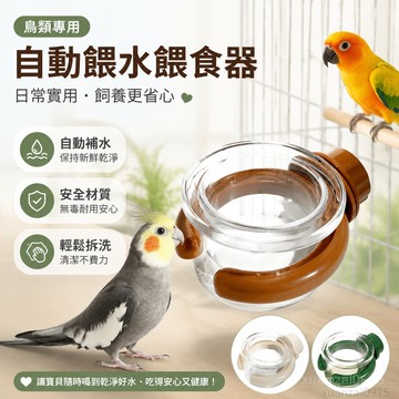 鳥類餵水餵食器自動便捷衛生易清潔顔值高飲水器虎皮鸚鵡食盆飯盆 小太陽鸚鵡 和尚鸚鵡 凱克鸚鵡餵食餵水玩具 鸚鵡玩具