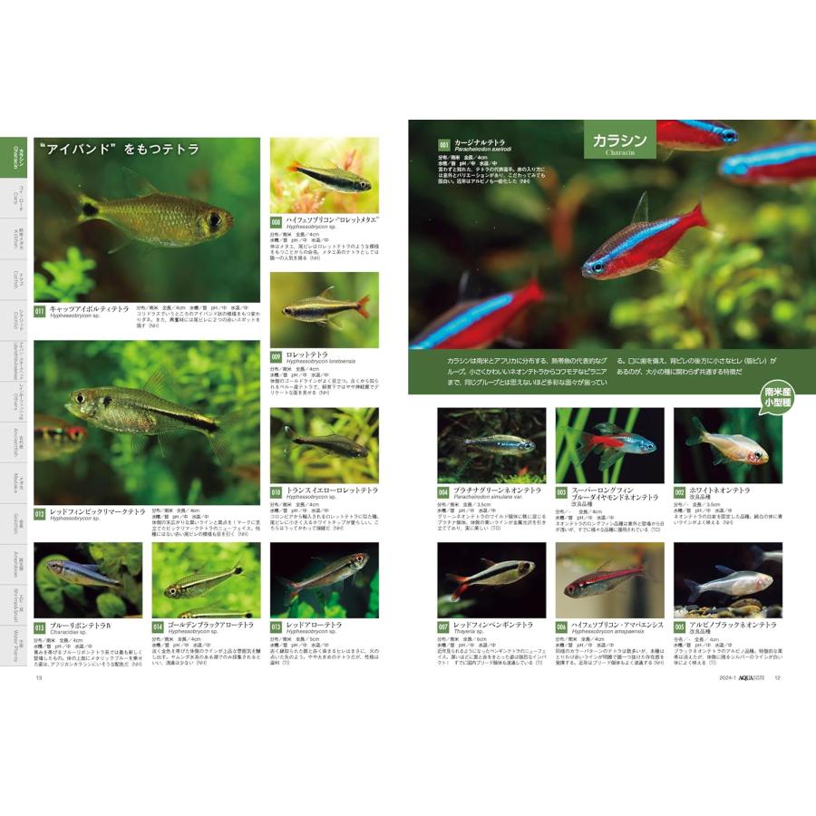 月刊アクアライフ 2024年 01 月号 特集：2024年 アクアリウム超図鑑 800