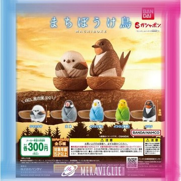 【M.M小舖】『現貨』 BANDAI 轉蛋 扭蛋 等待中的小鳥公仔 坐下來 待著 等待 鳥類 全5款