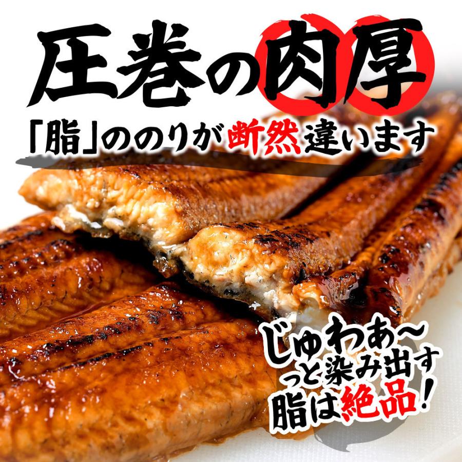 うなぎ 蒲焼き 3尾 鰻 特大