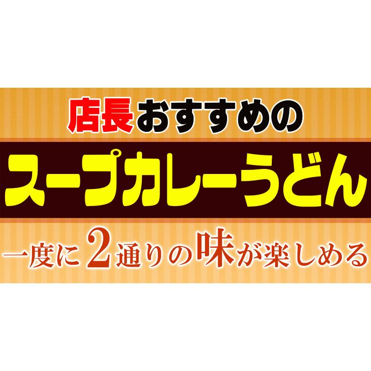 送料無料 うどん 激選スープカレーうどん20人前セット