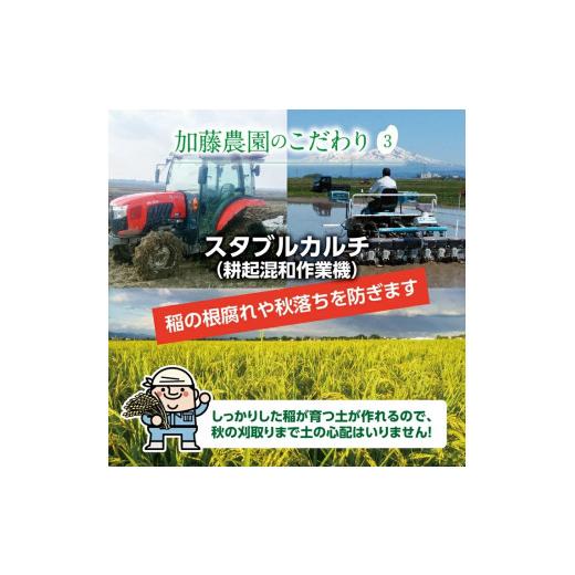 ふるさと納税 山形県 酒田市 SE0192　令和5年産 無洗米 雪若丸　5kg×6回(計30kg)「農家直送」 KA