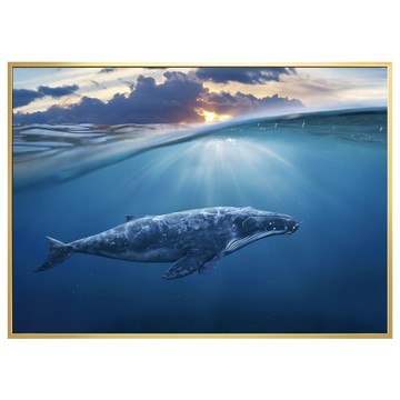 BOLUO GALLERY 菠蘿選畫所 洋流下的座頭鯨 ANSL3415G 掛畫  40 x 30cm  金色