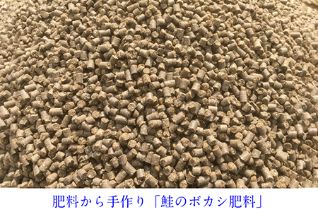 新潟産コシヒカリ「伝」白米真空パック 精米10kg（5kg×2）南麻布の高級料亭で提供される極上米 かやもり農園 コシヒカリ 新潟県産コシヒカリ 米 お米