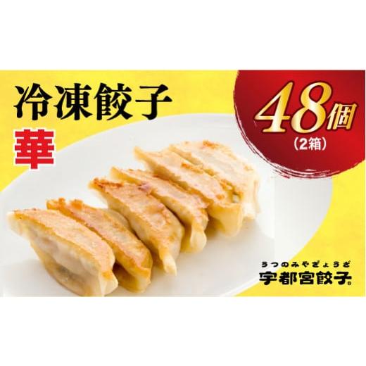 ふるさと納税 栃木県 宇都宮市 　餃子24個入り×2箱