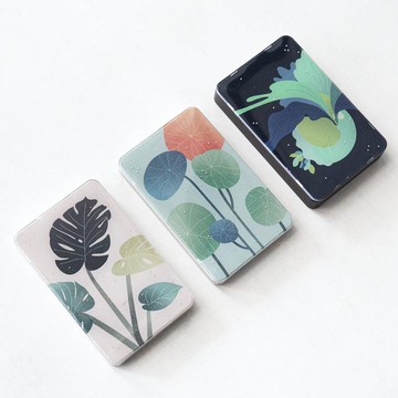 Zenlet 2 植感系列 深綠鹿角蕨